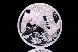 Kameleona Carbon Chamaeleon — recovered source image 9